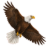 WorkWin